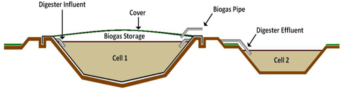Diagram of covered lagoons for anaerobic digestion.