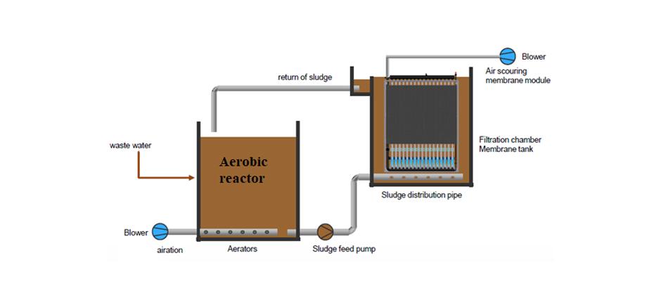  Schematic representation of an MBR reactor with the membrane modules installed outside the reaction tank with piping for sludge distribution.