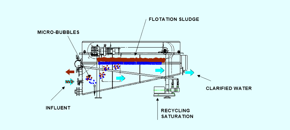 Schematic representation of a DAF in the clarification process: water inlet, microbubbles, floating sludge up to the clarified water.