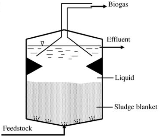 Diagram of UASB reactor for anaerobic digestion.