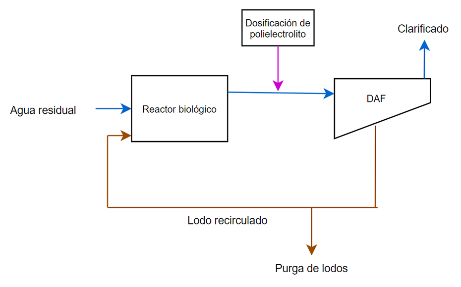 Diagrama del proceso FBR para desde la entrada del agua residual al reactor biológico, hasta la obtención del agua clarificada.