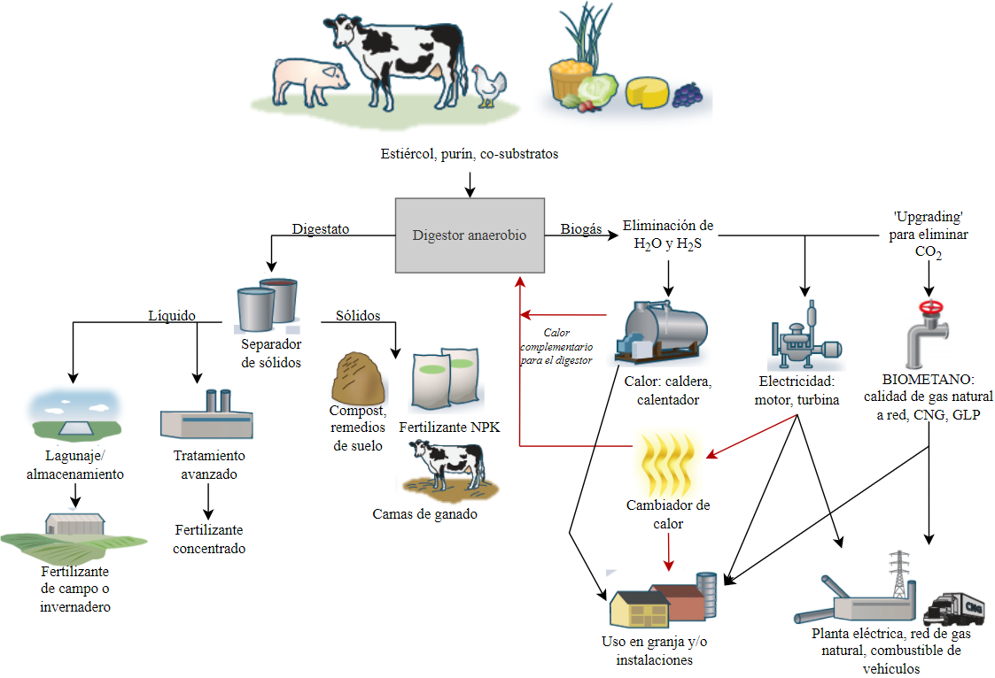  Diagrama de proceso típico de digestión anaerobia de substratos ganaderos y agrícolas.