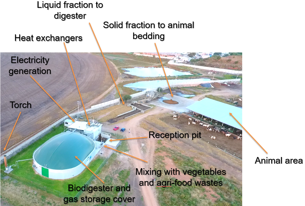 Sigma plant for anaerobic digestion of cattle manure in co-digestion with vegetable and agri-food waste